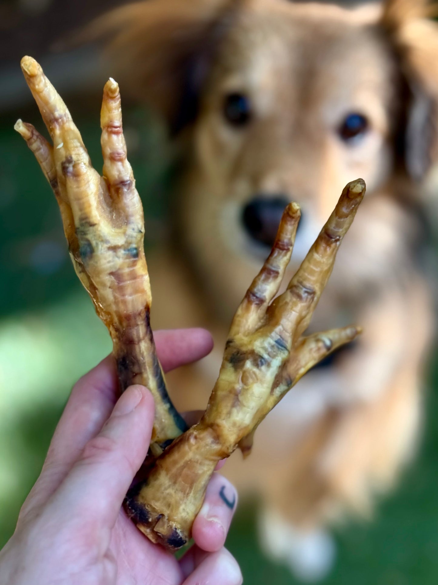 Chicken Feet pack