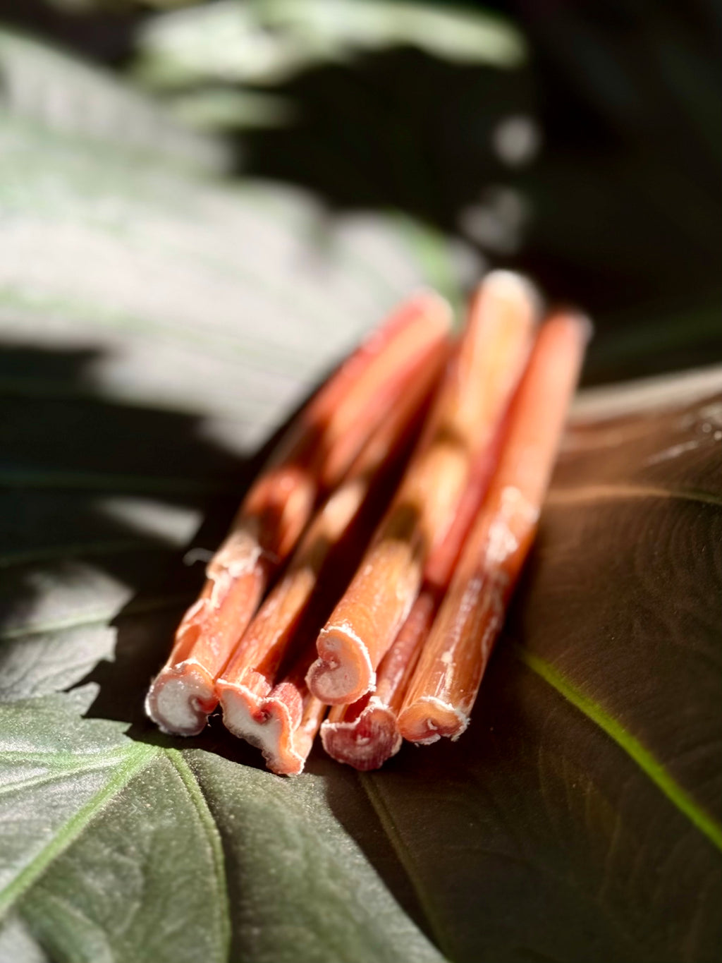 Thin Bully Stick pack