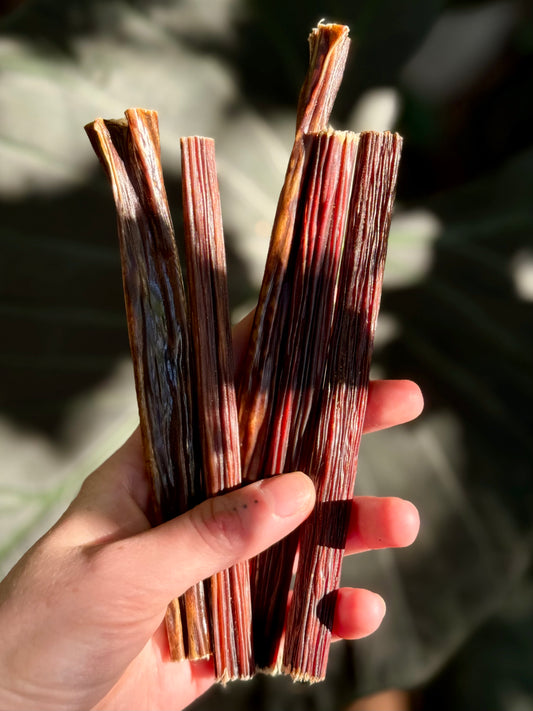 Gullet Stick pack