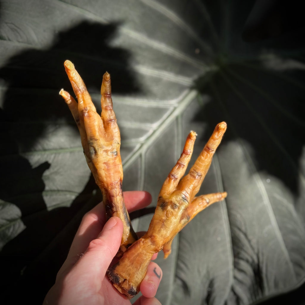 Chicken Feet pack