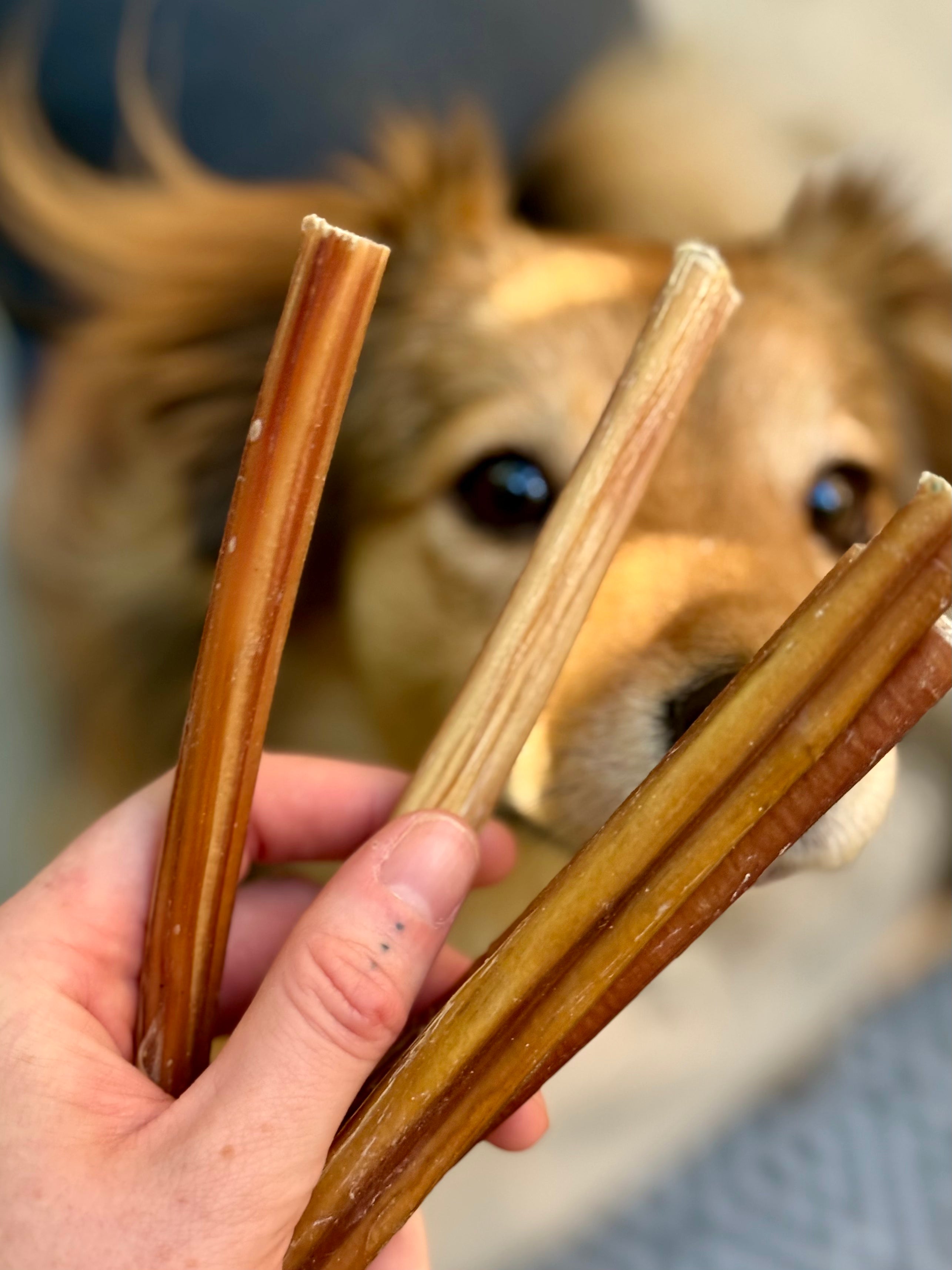Thin Bully Stick pack