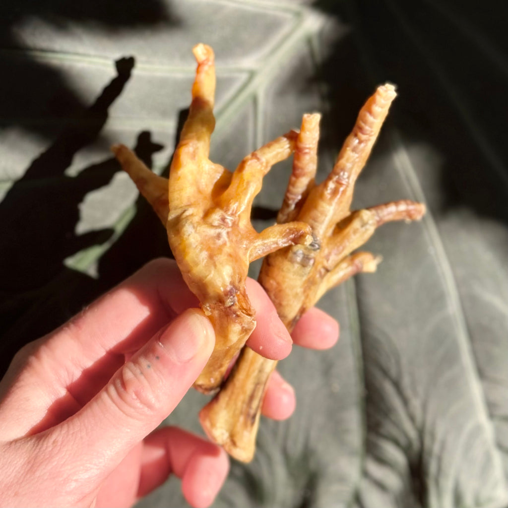 Chicken Feet pack
