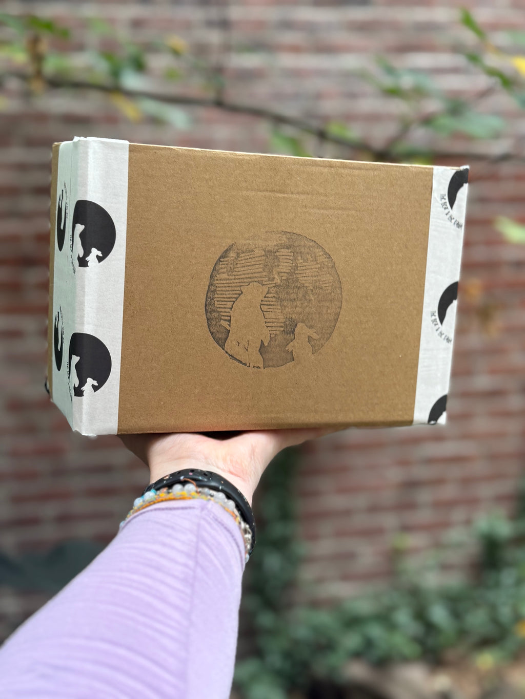 The Bear Box Vol. 1