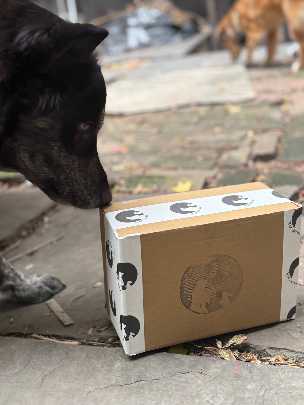 The Bear Box Vol. 1