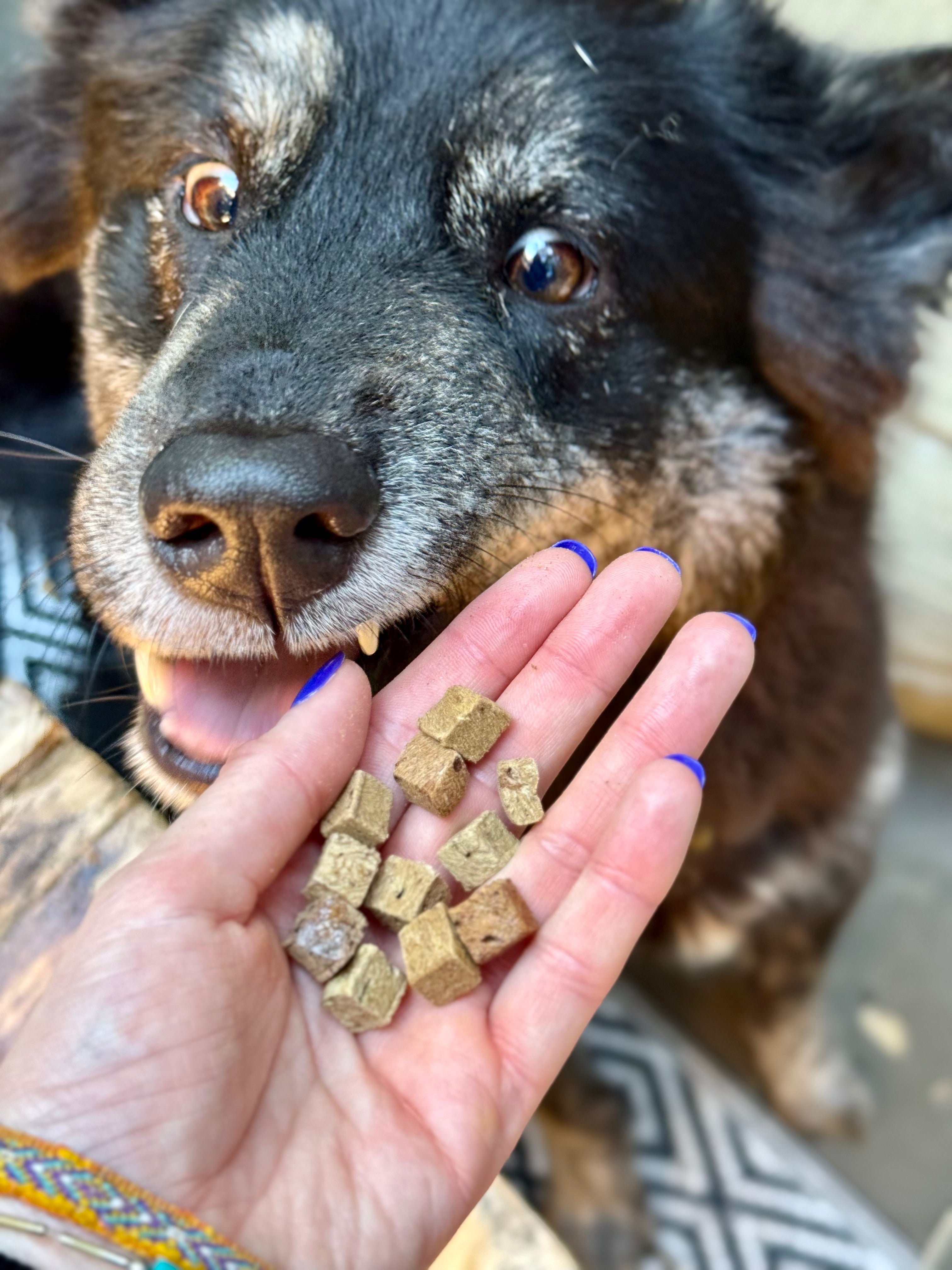 Snaggletooth Teeny Tiny Treats - Beef Liver