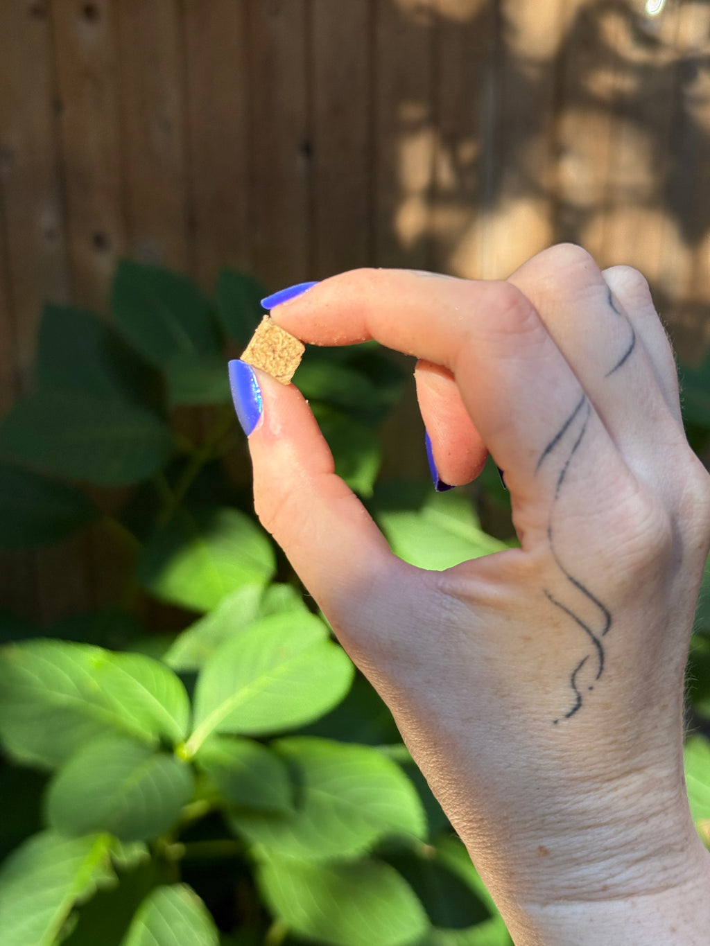 Snaggletooth Teeny Tiny Treats - Duck Liver