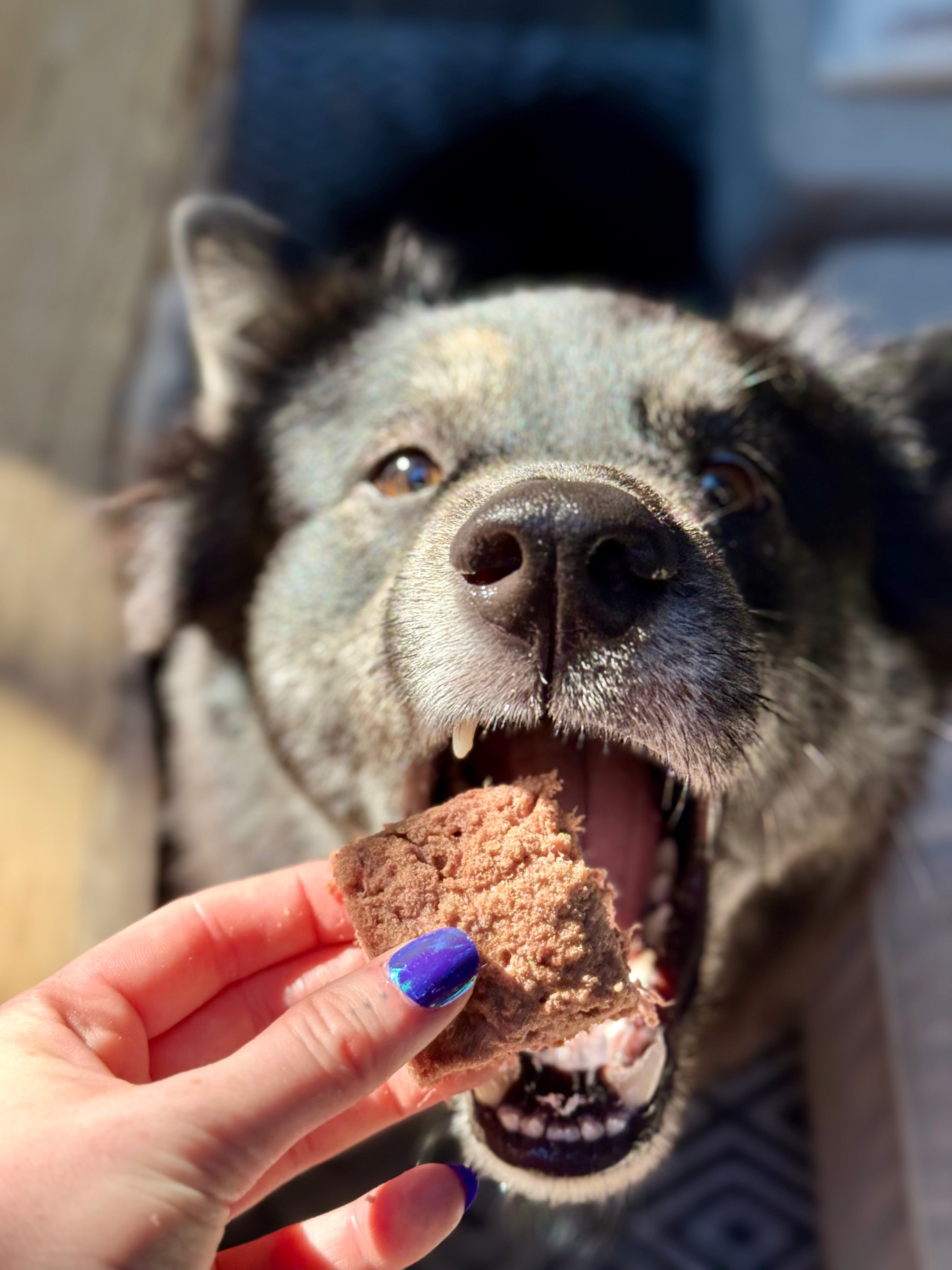 Heavenly Pet - Bird-N-Berry Squares