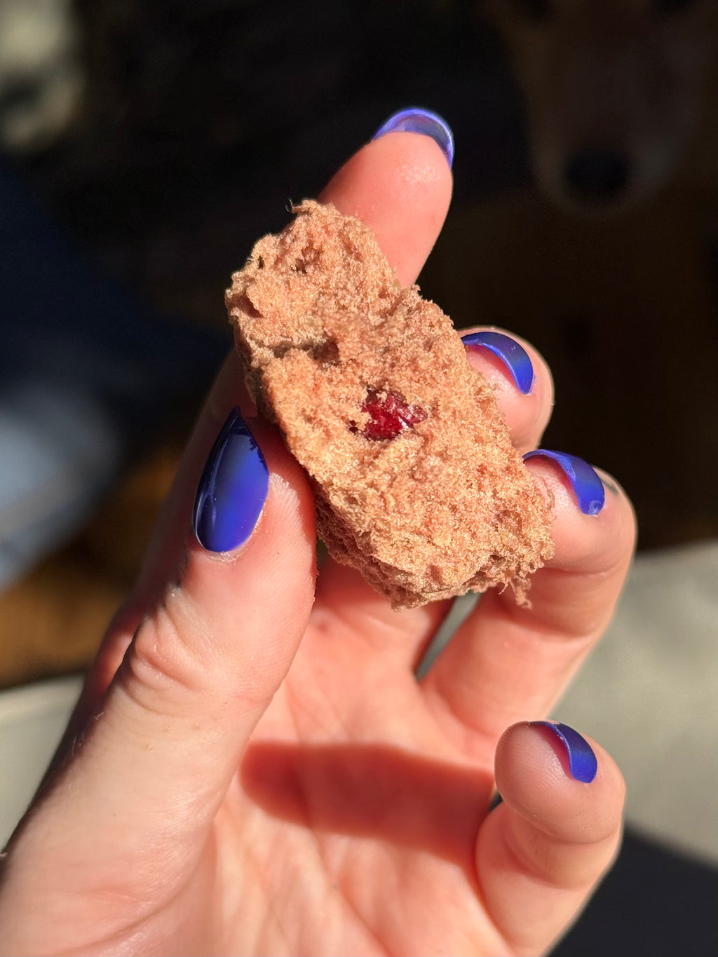 Heavenly Pet - Bird-N-Berry Squares